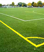 Playing Field